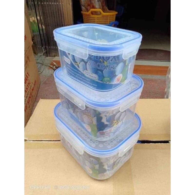 Bộ 3 hộp lạnh 4 khoá nhựa Việt Nhật
