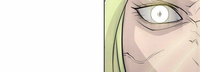 kĩ nguyên của anh hùng chapter 69.5 145