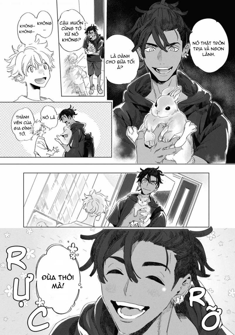 đất nước của những chú sư tử chapter 1 17