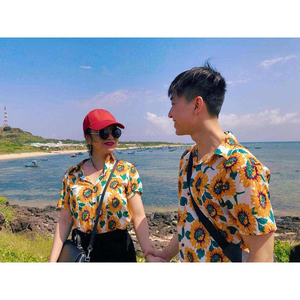 SET BỘ HOA HƯỚNG DƯƠNG NỀN TRẮNG THÁI
