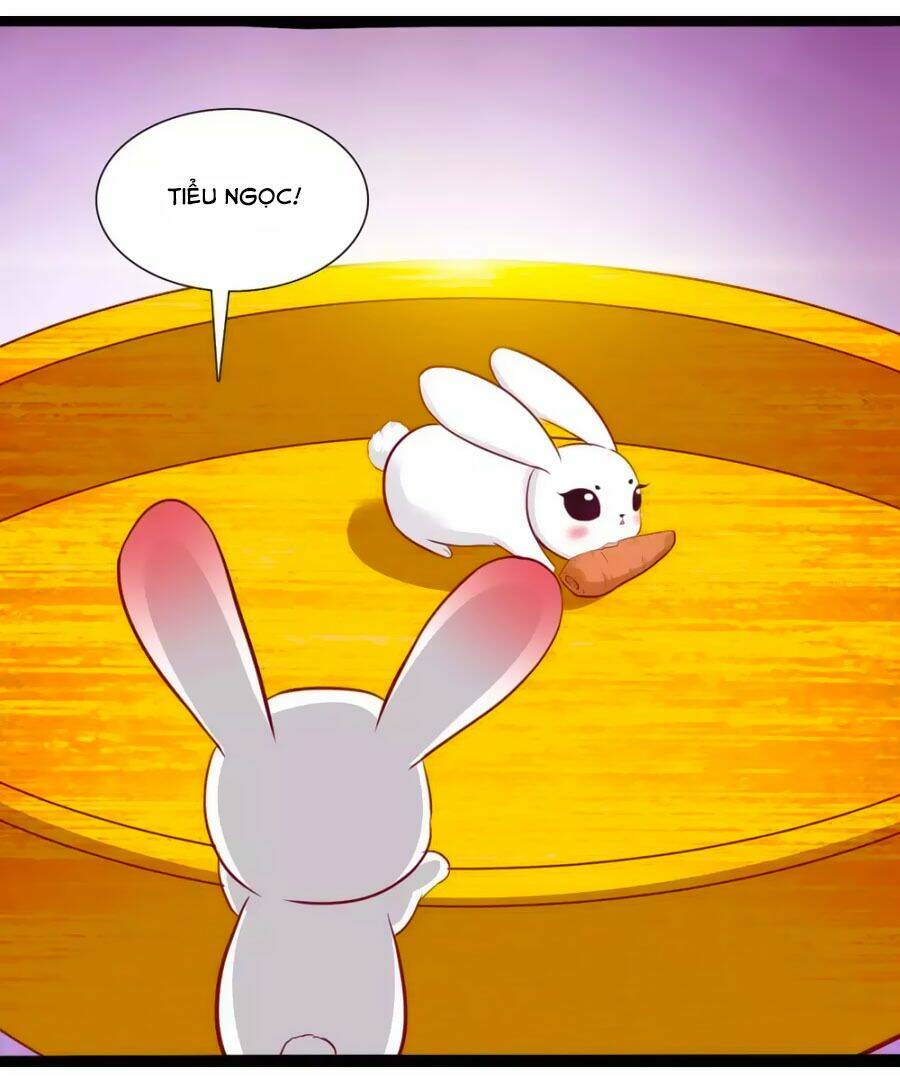 thỏ yêu tiểu vương phi chapter 49 31