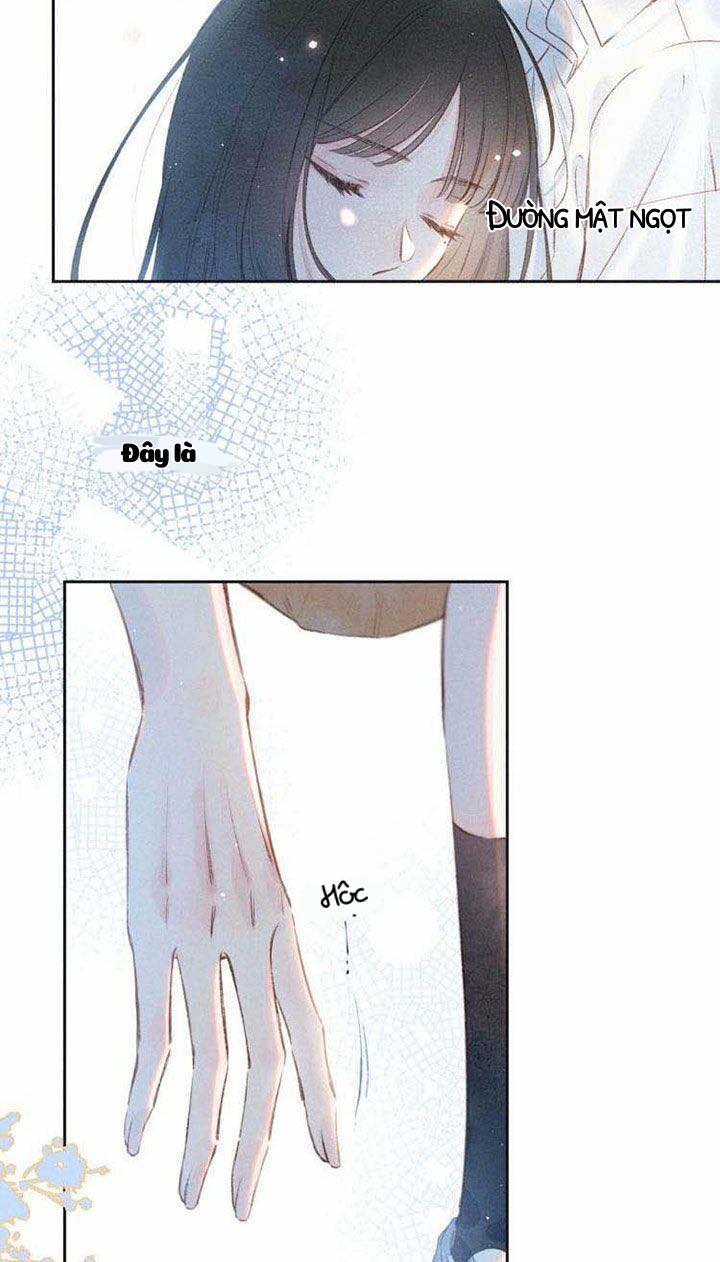 nỗi buồn của hoa cẩm tú cầu chapter 10 13