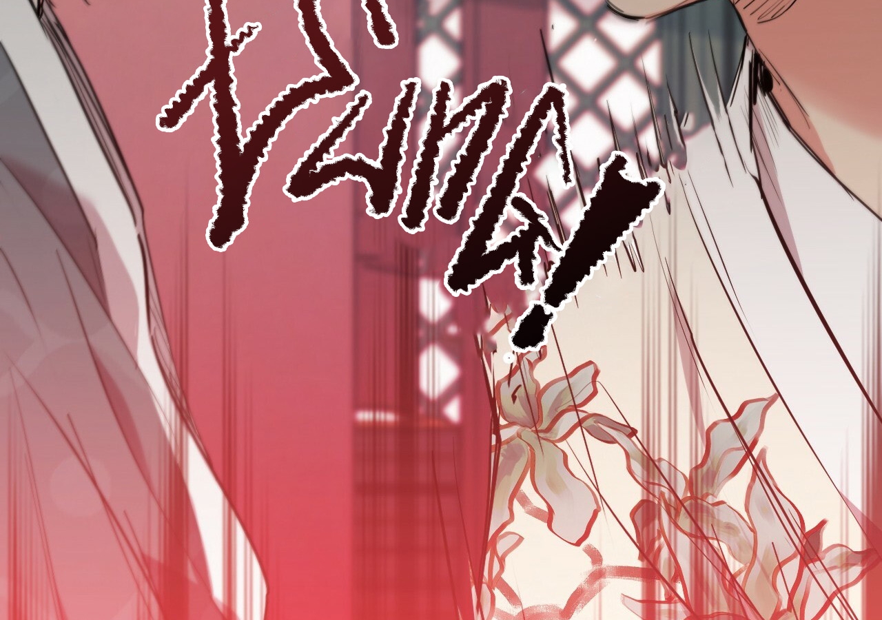 đàn thỏ của habibi chapter 21 227