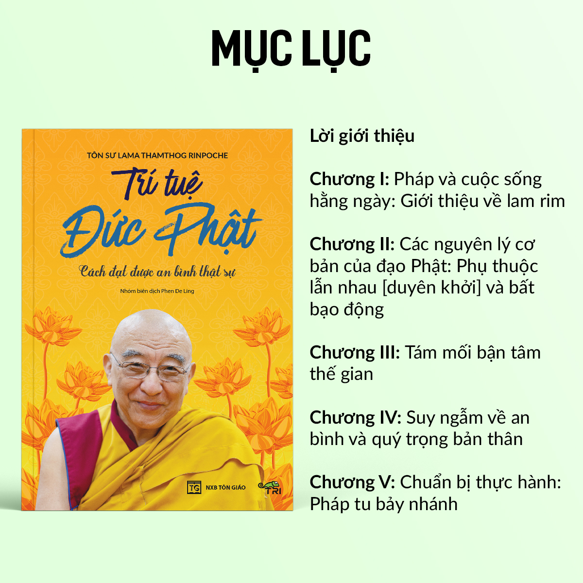 Sách - Trí Tuệ Đức Phật (Tôn Sư Lama Thamthog Rinpoche) - Tuệ Tri