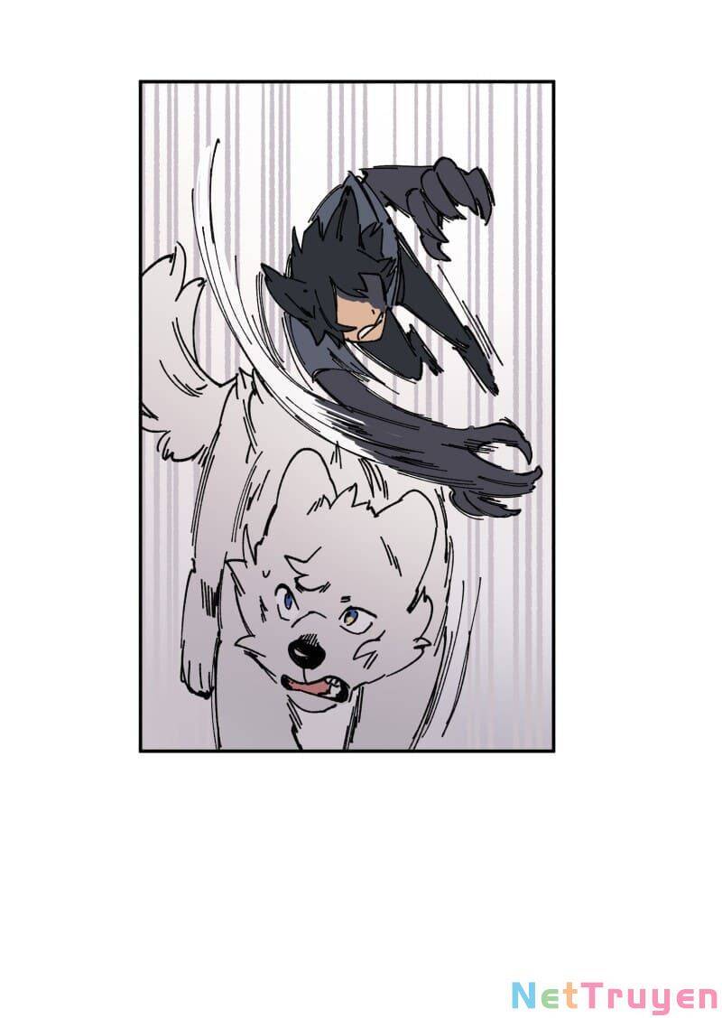 lumine - cội nguồn ánh sáng chapter 91 38