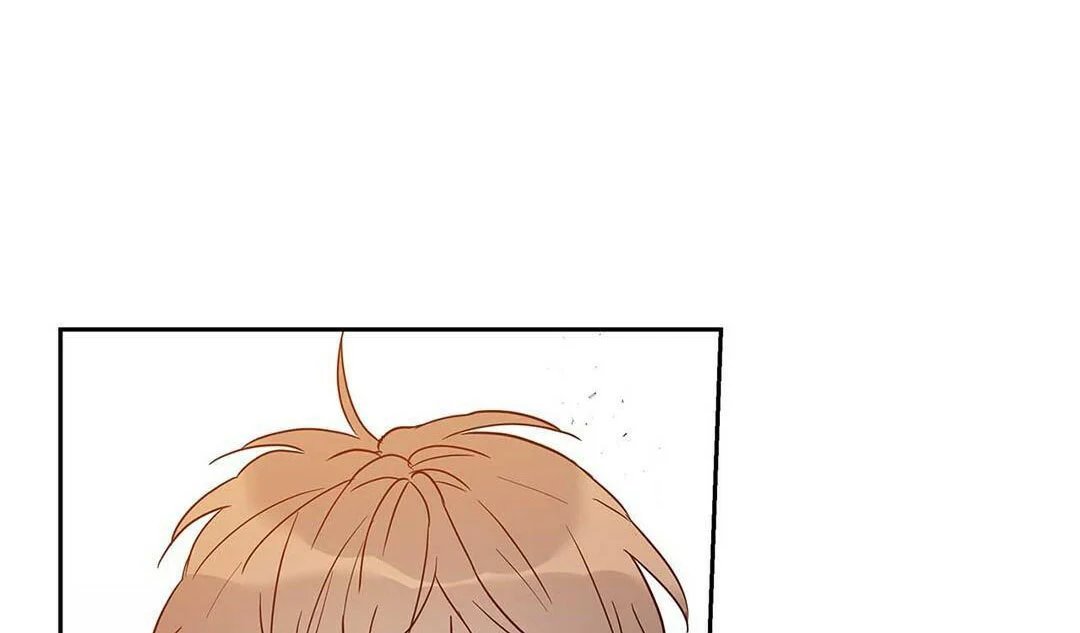 guide cấp b chapter 14 37