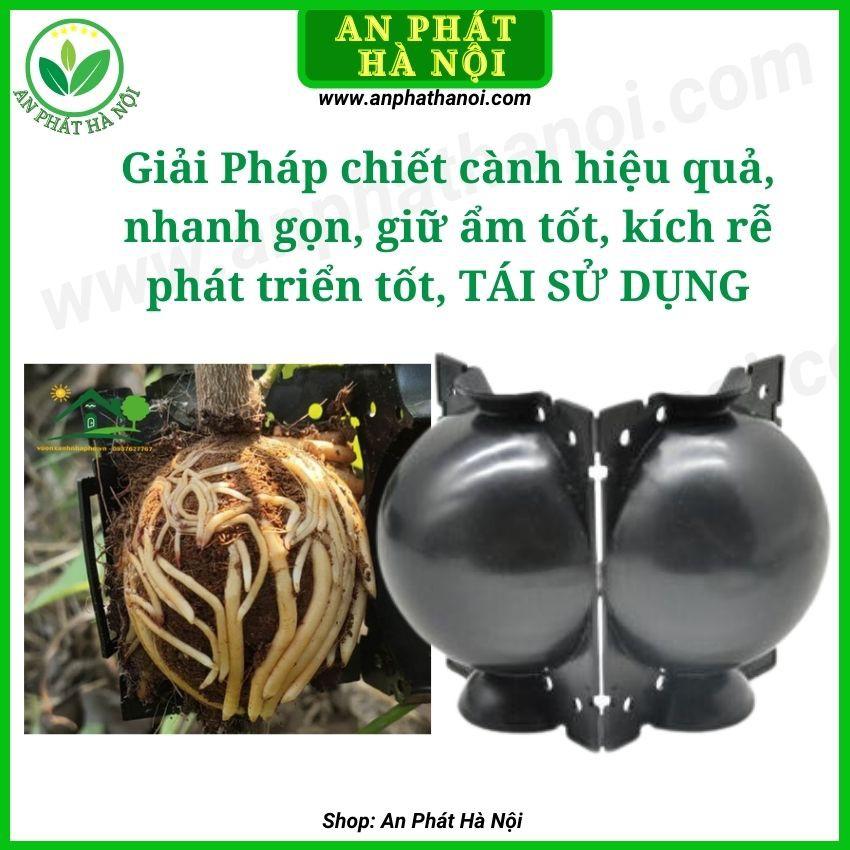 1 hộp Bầu Chiết cành loại đẹp, hộp chiết cây,dụng cụ chiết cành chuyên dụng, hộp ươm cắt ghép chiết cành
