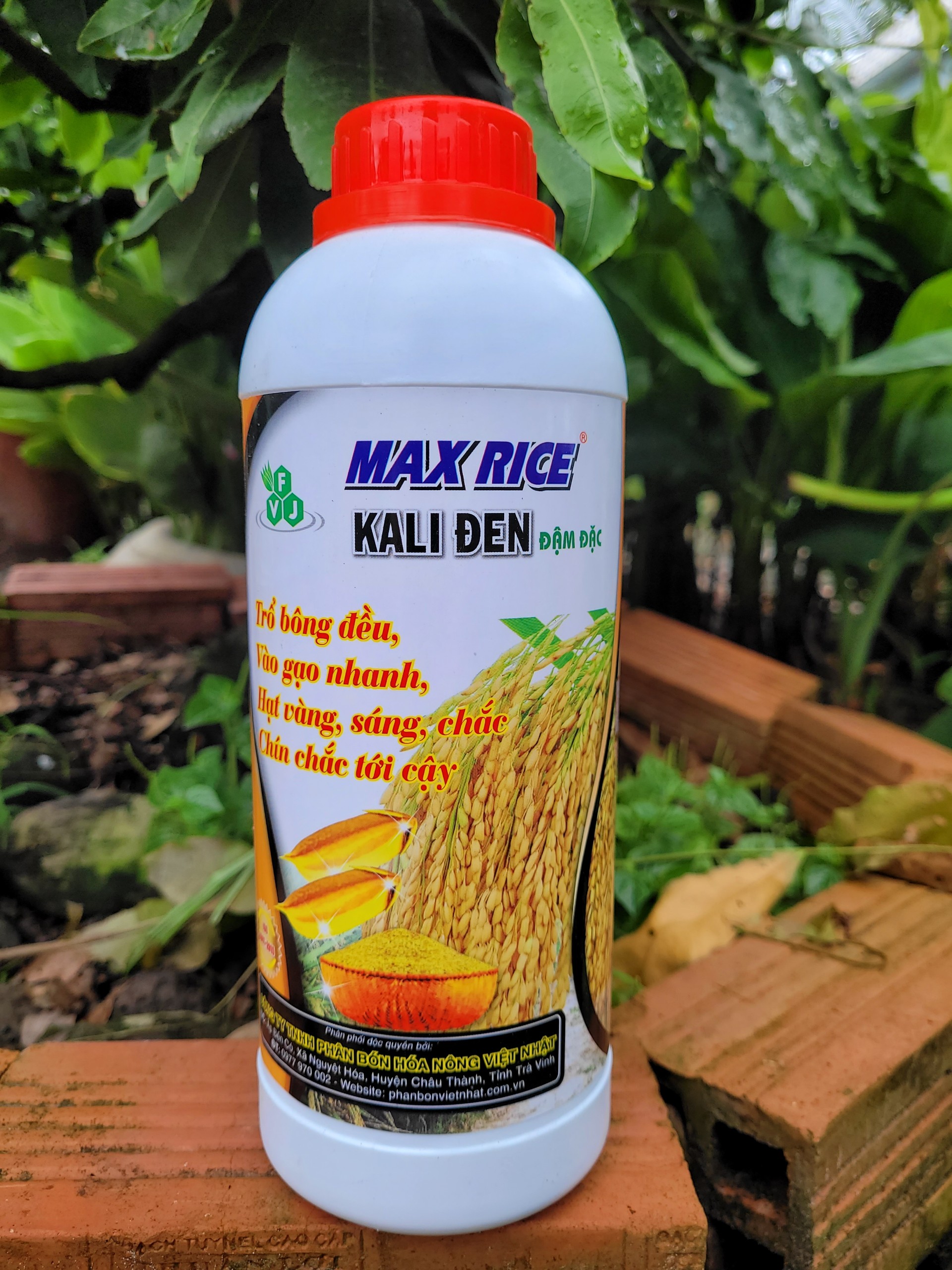 Phân bón lá KALI ĐEN MaxRice chai 1 lít giúp lúa trổ bông đều, vô gạo nhanh, chín chắc tới cậy