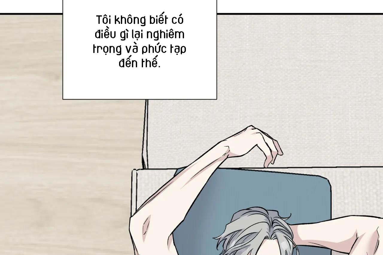 ám ảnh pheromone chapter 62 73