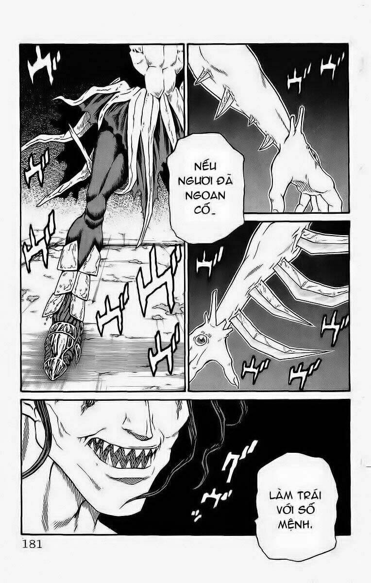 vua trên biển chapter 249 8