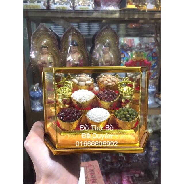 Cây ngũ cốc