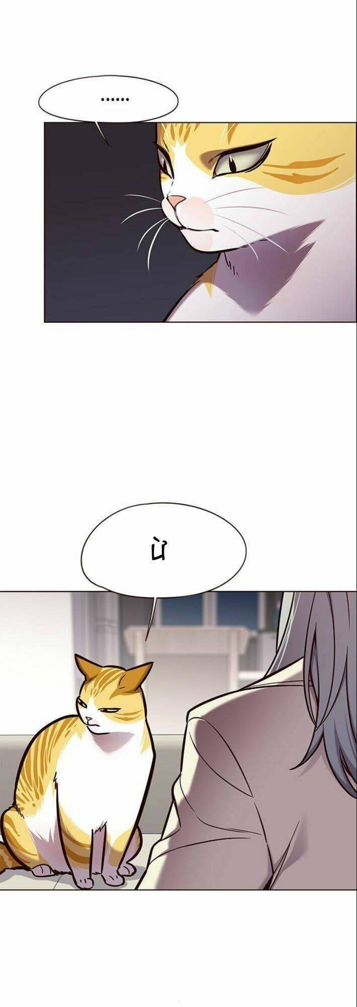 biến thân thành mèo chapter 139 35