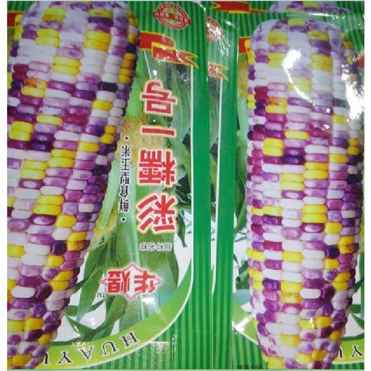 Hạt giống ngô ngũ sắc  - 1 gói 30 hạt