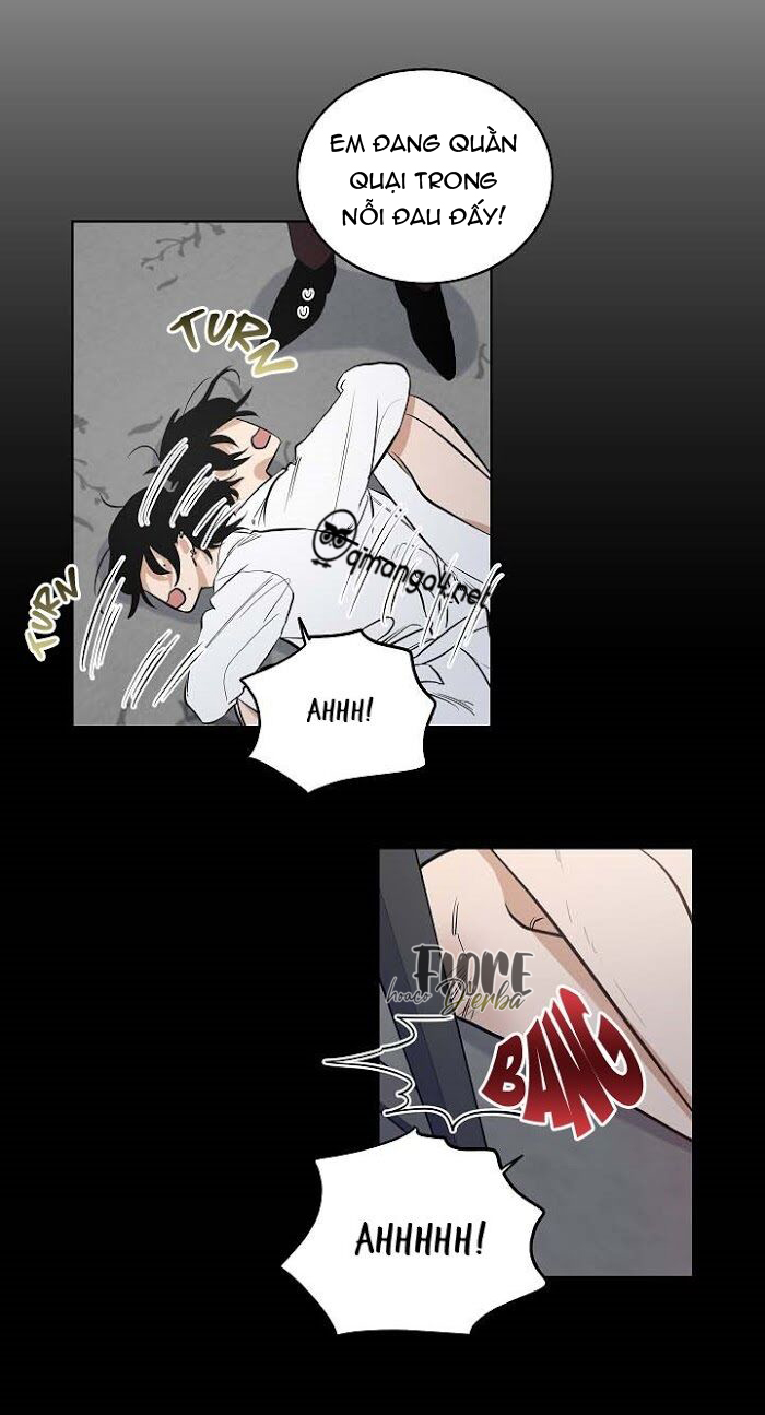 thành phố cạm bẫy chapter 10 8