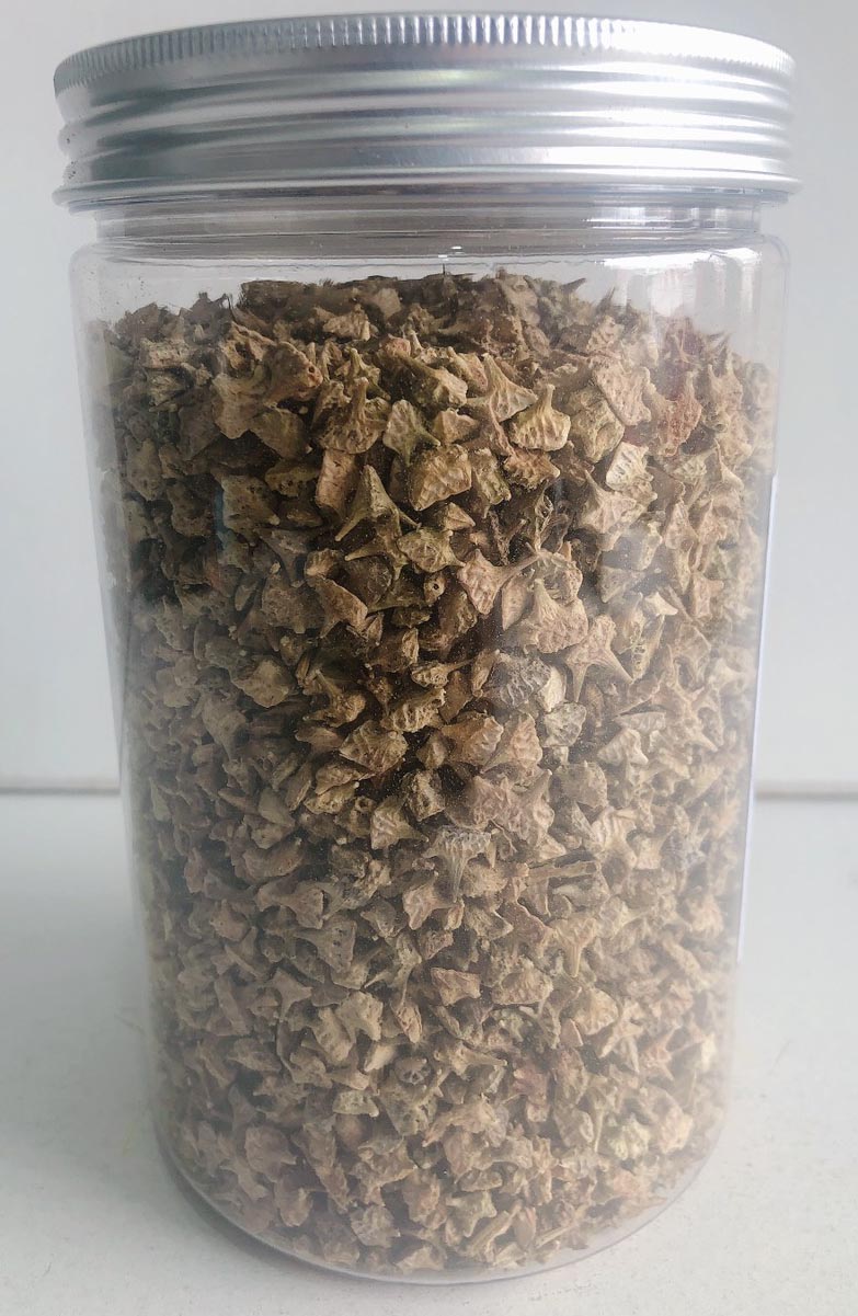 Trà bạch tật lê