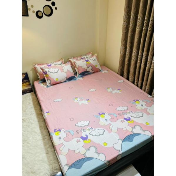 Bộ chăn phao 5 món cottonpoly