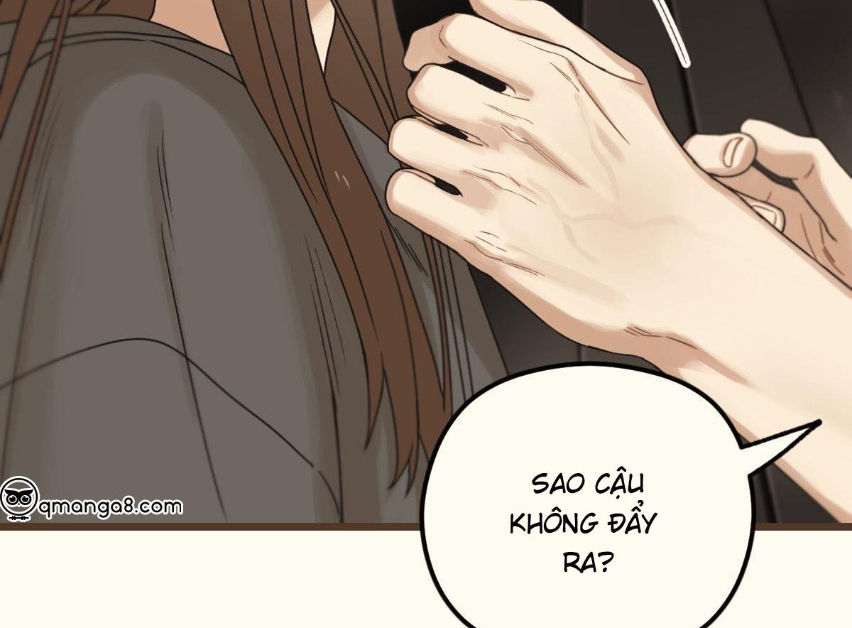 tương phùng chapter 37 50