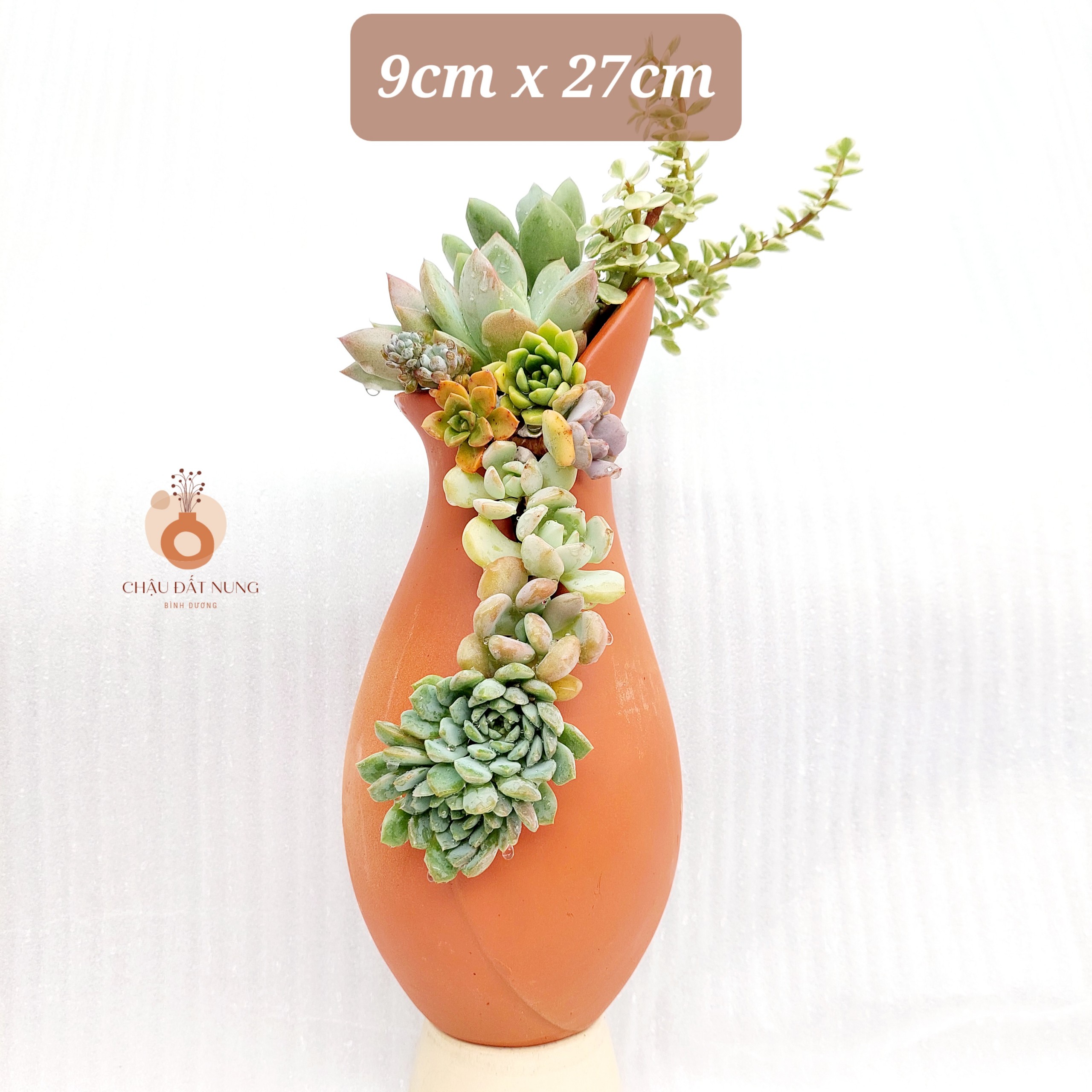 Chậu đất nung - Bình hoa 825, miệng chậu 8cm, chiều cao 25cm
