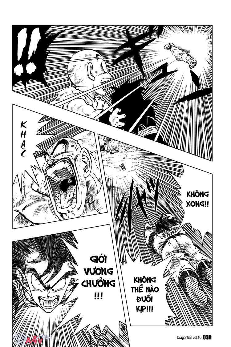 dragon ball - bảy viên ngọc rồng chapter 226 11