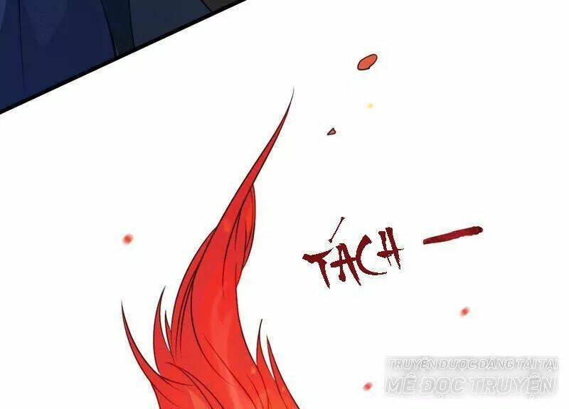 tình tễ hà xử chapter 7 66