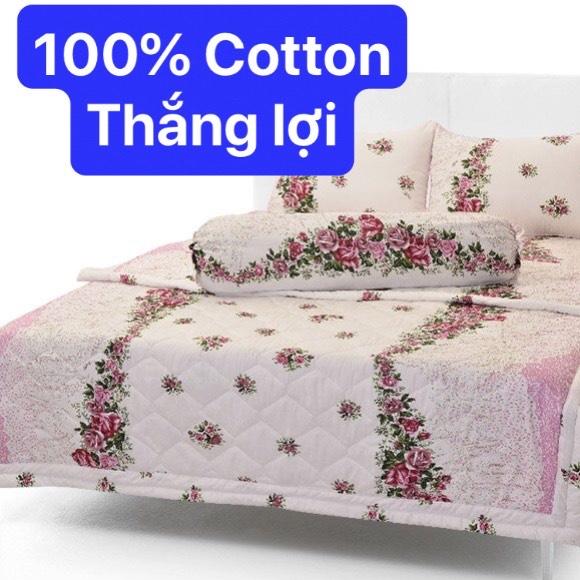 Bộ Drap Cotton Thắng Lợi Kèm Mền Chần Gòn -5 món hoặc mền lẻ