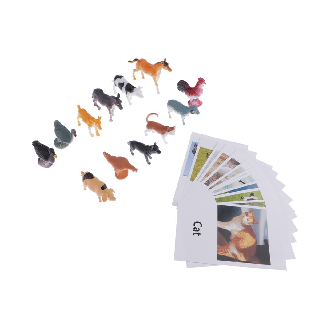 Education Toy Poultry Animals Model Naming Cards for Montessori Education