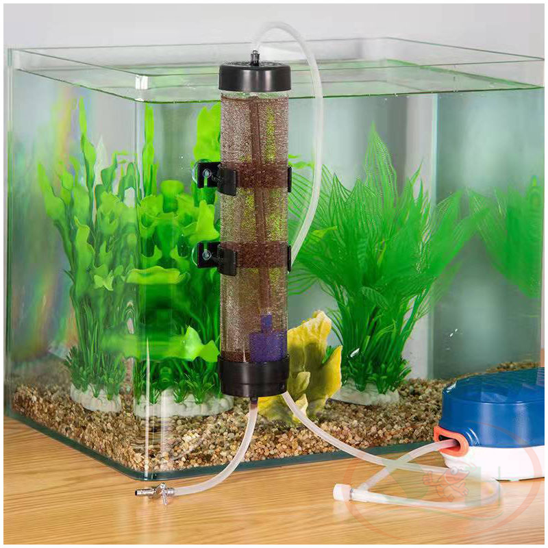Bộ lồng ấp artemia Incubator Brine Shrimp Eggs nâng cấp ấp nở trứng artemia cho cá cảnh