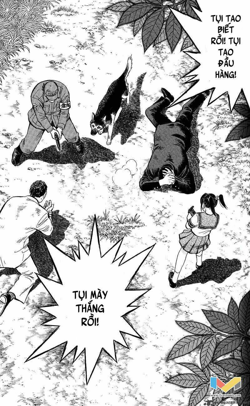 animal sense chapter 13 11