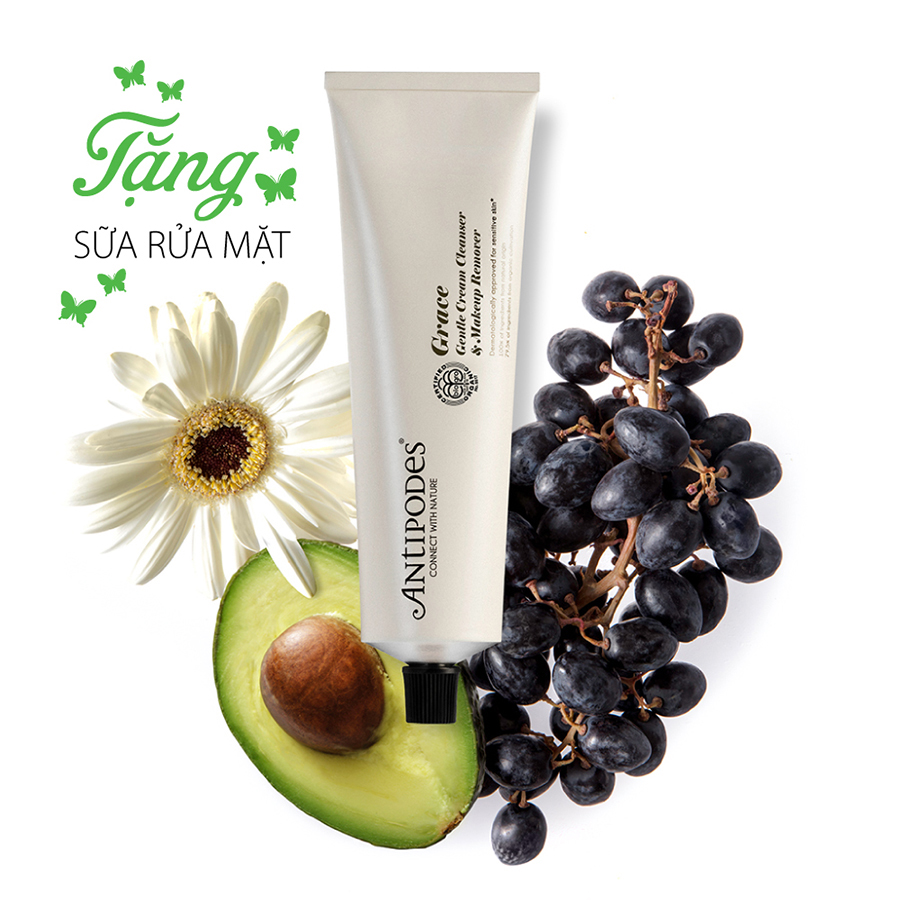 Kem Dưỡng Da Ban Đêm Antipodes Avocado Pear Nourishing Night Cream 60ml (TẶNG Sữa Rửa Mặt Hỗ Trợ Tẩy Trang Dành Cho Da Nhạy Cảm Antipodes Grace Gentle Cream Cleanser &amp; Makeup Remover 120ml)