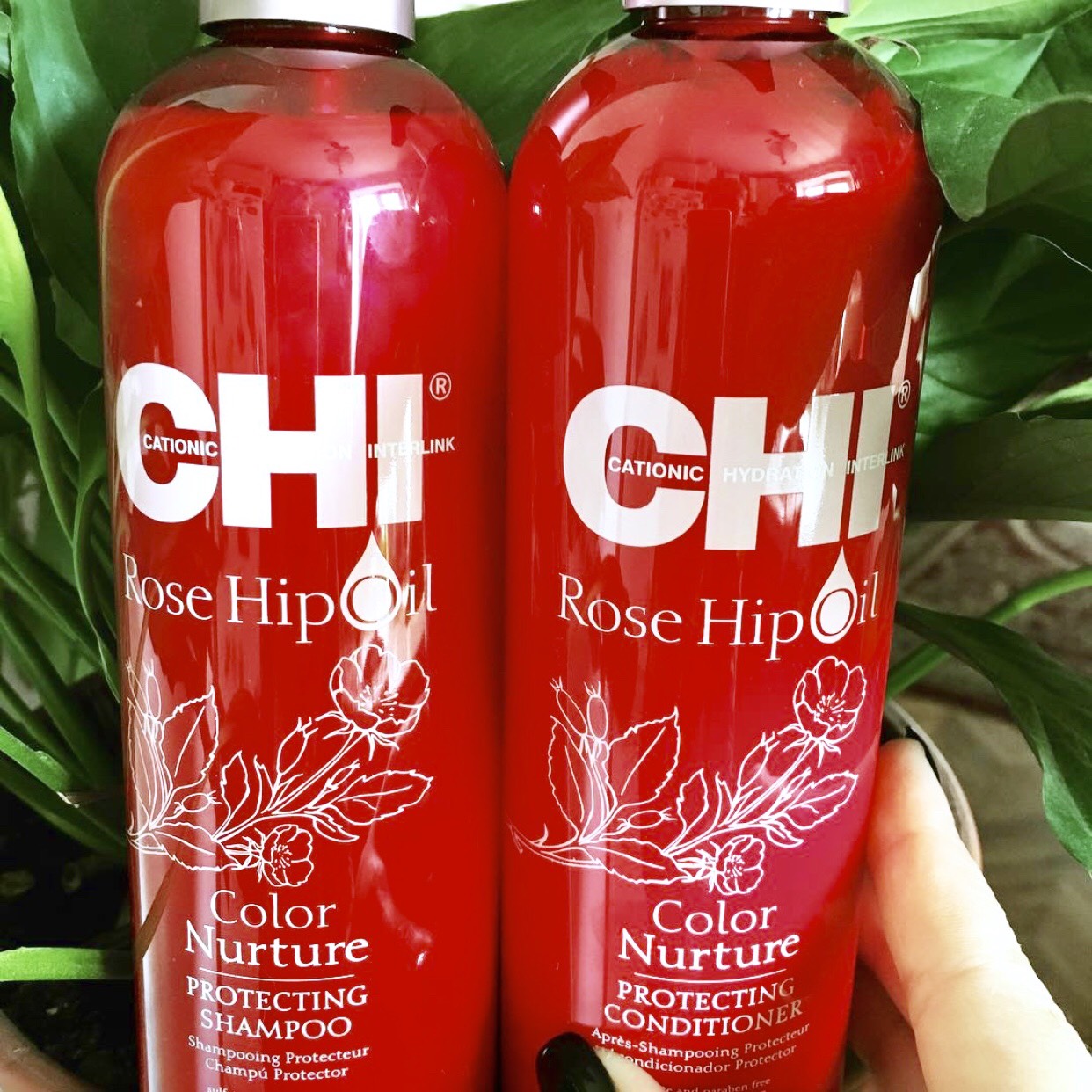 Dầu gội CHI Rose Hip Oil Color Nature giữ màu tóc nhuộm USA 739ml