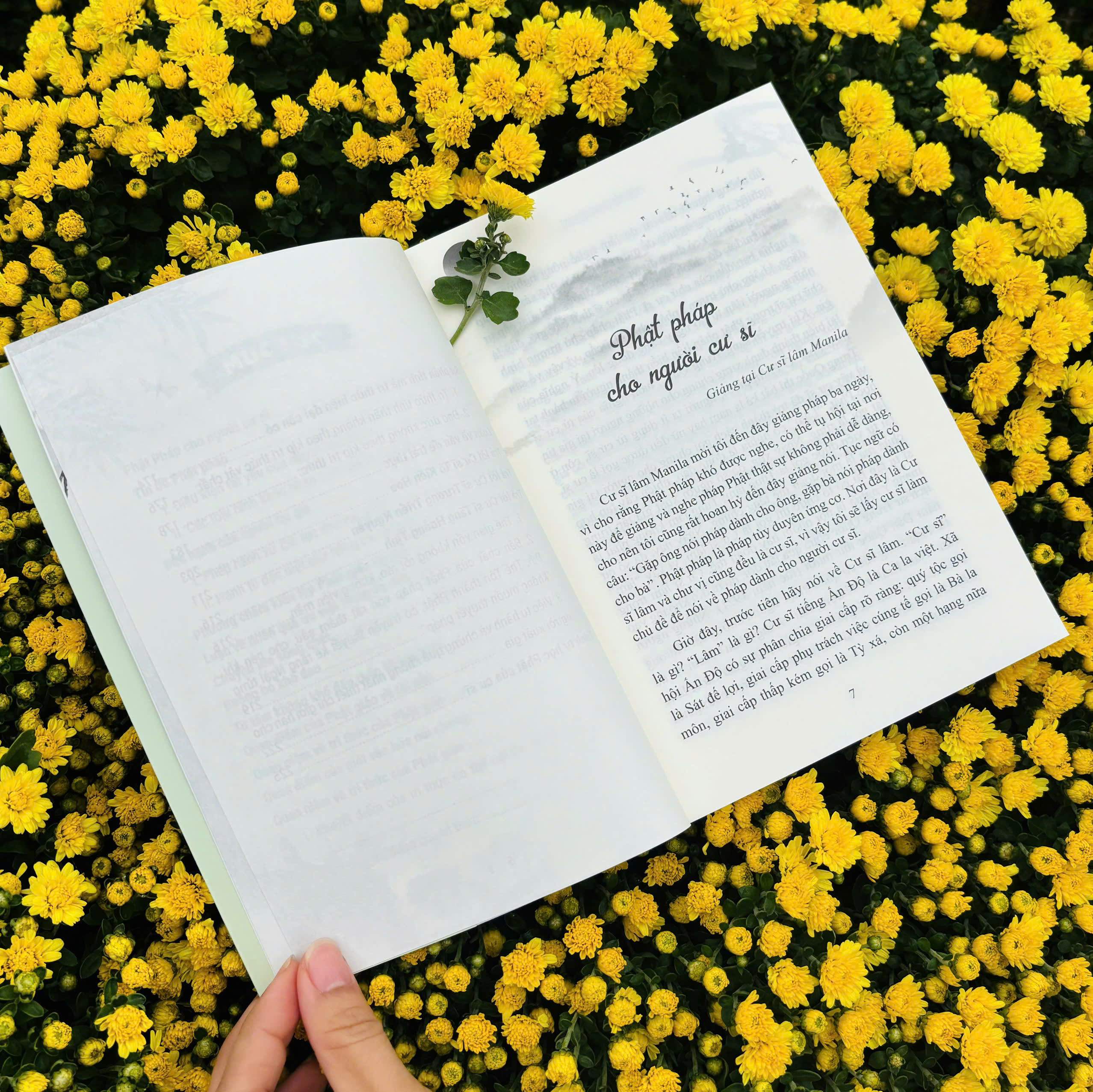 Sách - Phật Pháp Cho Người Cư Sĩ - Vĩnh Nghiêm Books