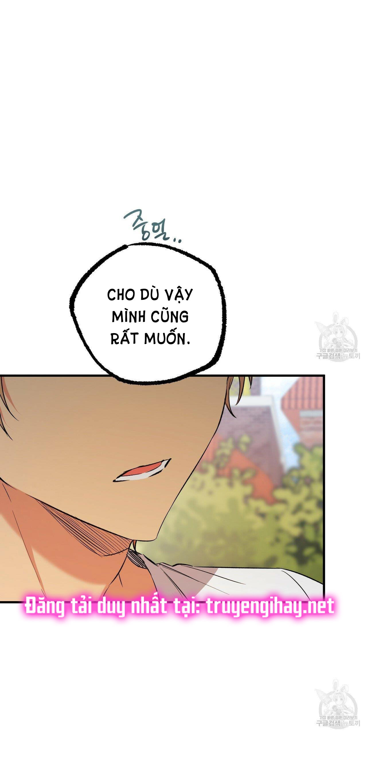 những chú thỏ của hapypy chapter 53.2 4