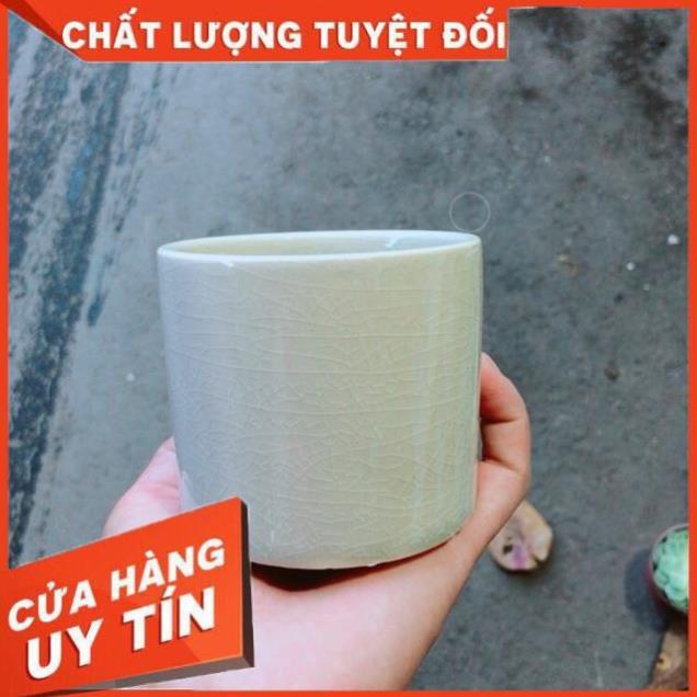 Chậu Trồng Cây