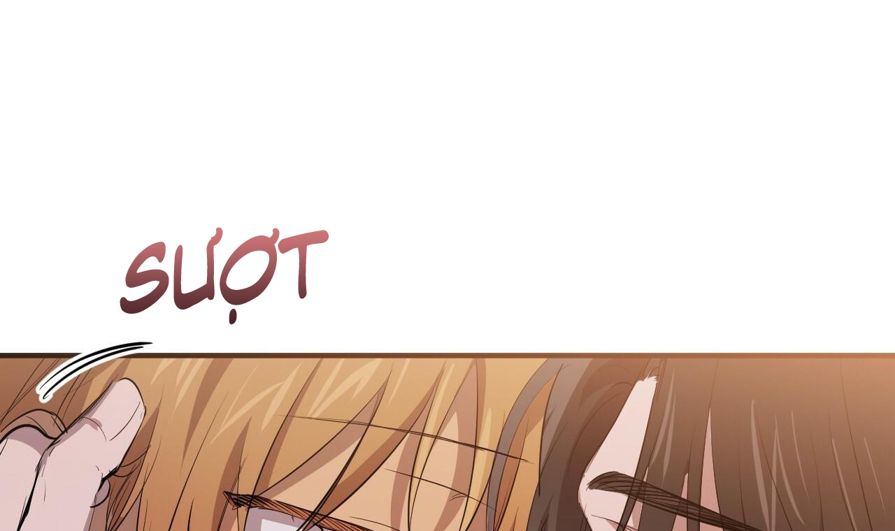 những chú thỏ của hapypy chapter 51 54