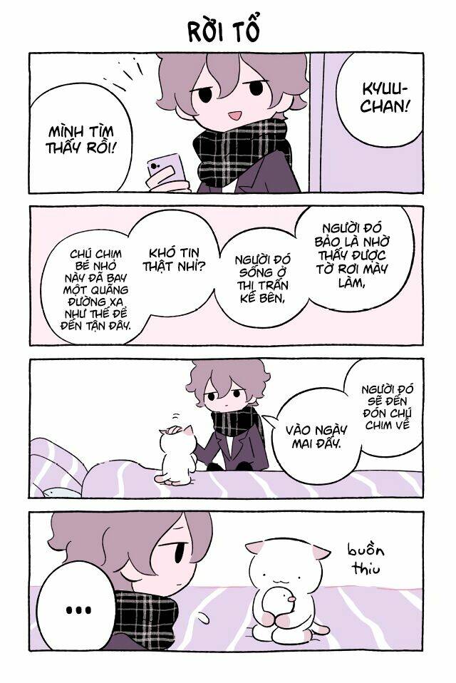 chú mèo kỳ diệu kyuu-chan chapter 547 2