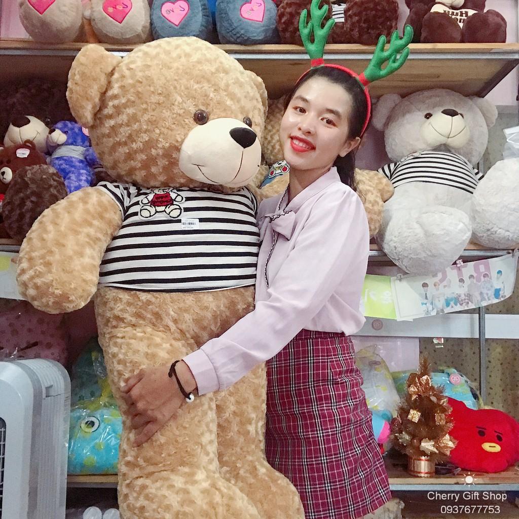 Gấu Bông Teddy Cao Cấp Giá Sốc 1m4 Ảnh Shop Chụp