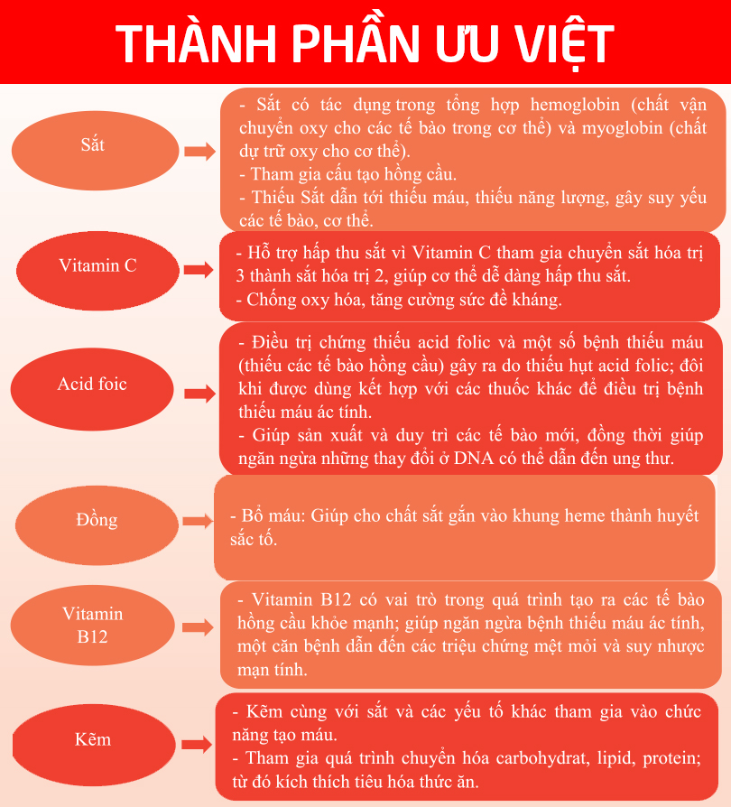 Viên uống bổ máu Fevitt Nano 4 mắt bổ sung Sắt, Acid Folic cho người thiếu máu - Hộp 100 viên