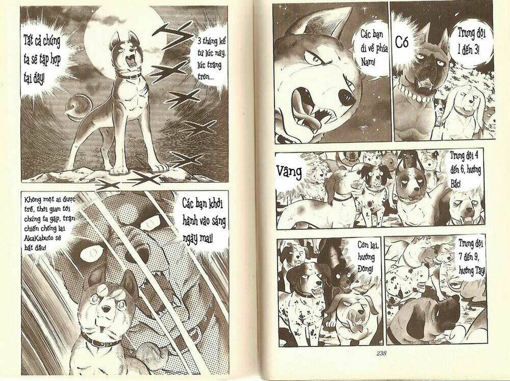 chú chó có nghĩa - ginga nagareboshi gin chapter 11 9