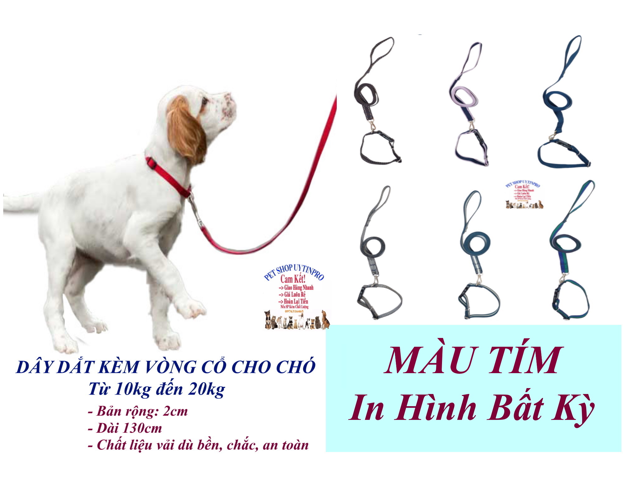 Dây dắt kèm vòng cổ cho Chó Mèo từ 10kg đến 20kg Bản rộng 2cm Chất liệu dù, Bền đẹp, Chắc chắn, An toàn cho thú cưng