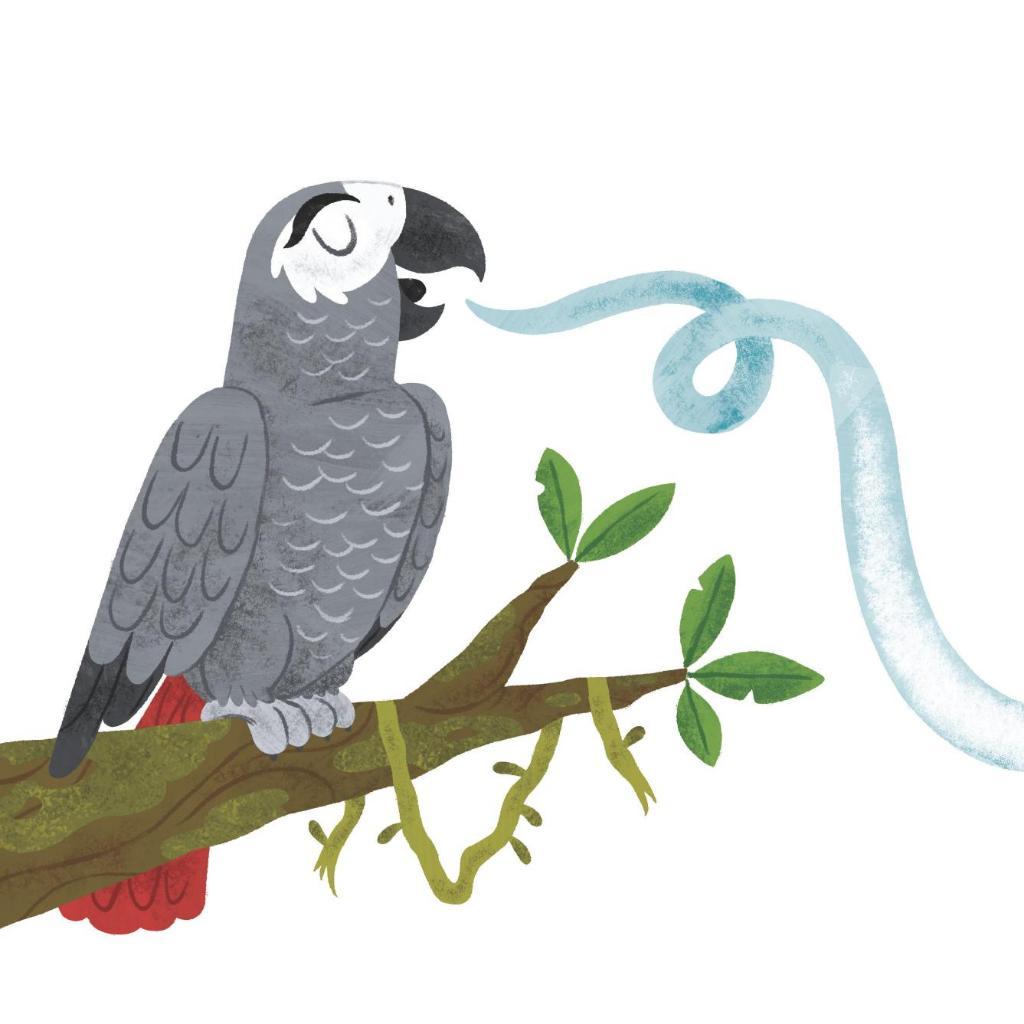 Đấu não so tài: Khoa học đằng sau não bộ muôn loài - Bản Quyền