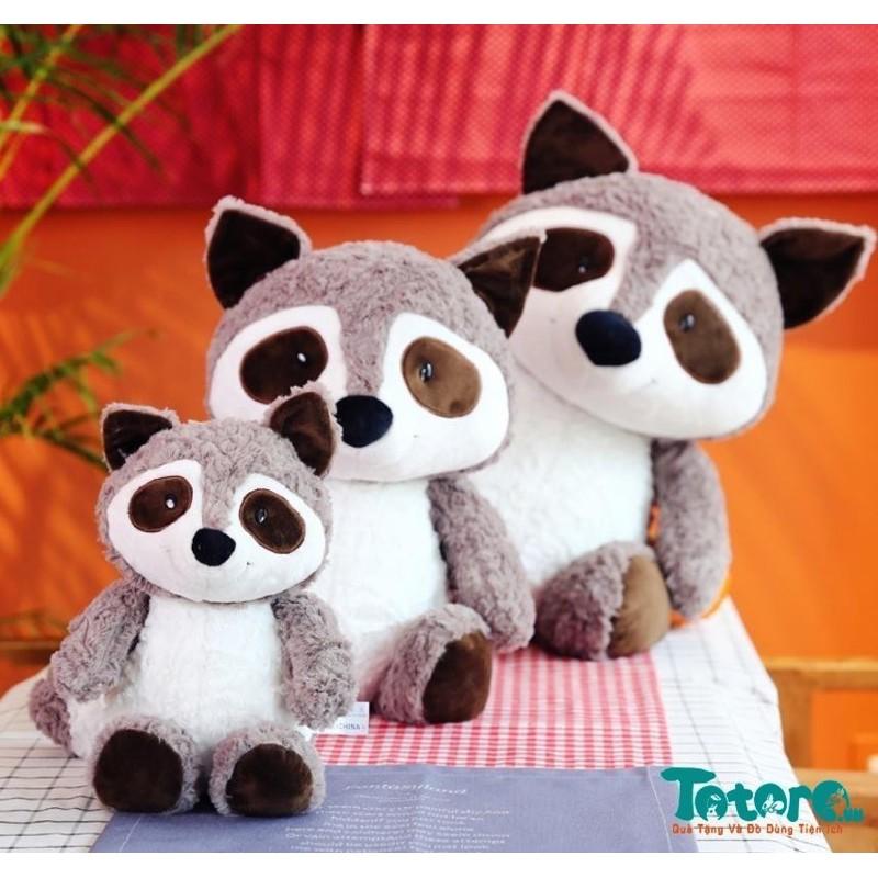 Gấu mèo lông xù