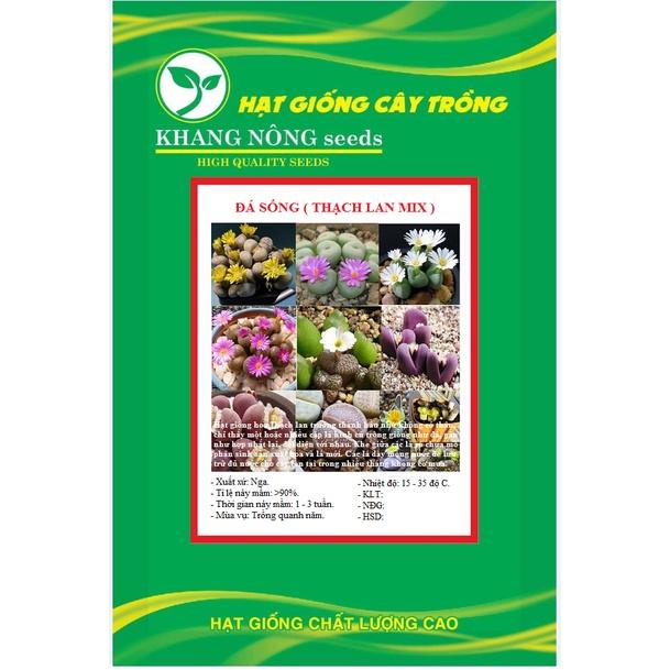Hạt giống hoa đá sống thạch lan nhiều màu KNS3543 - Gói 10 hạt