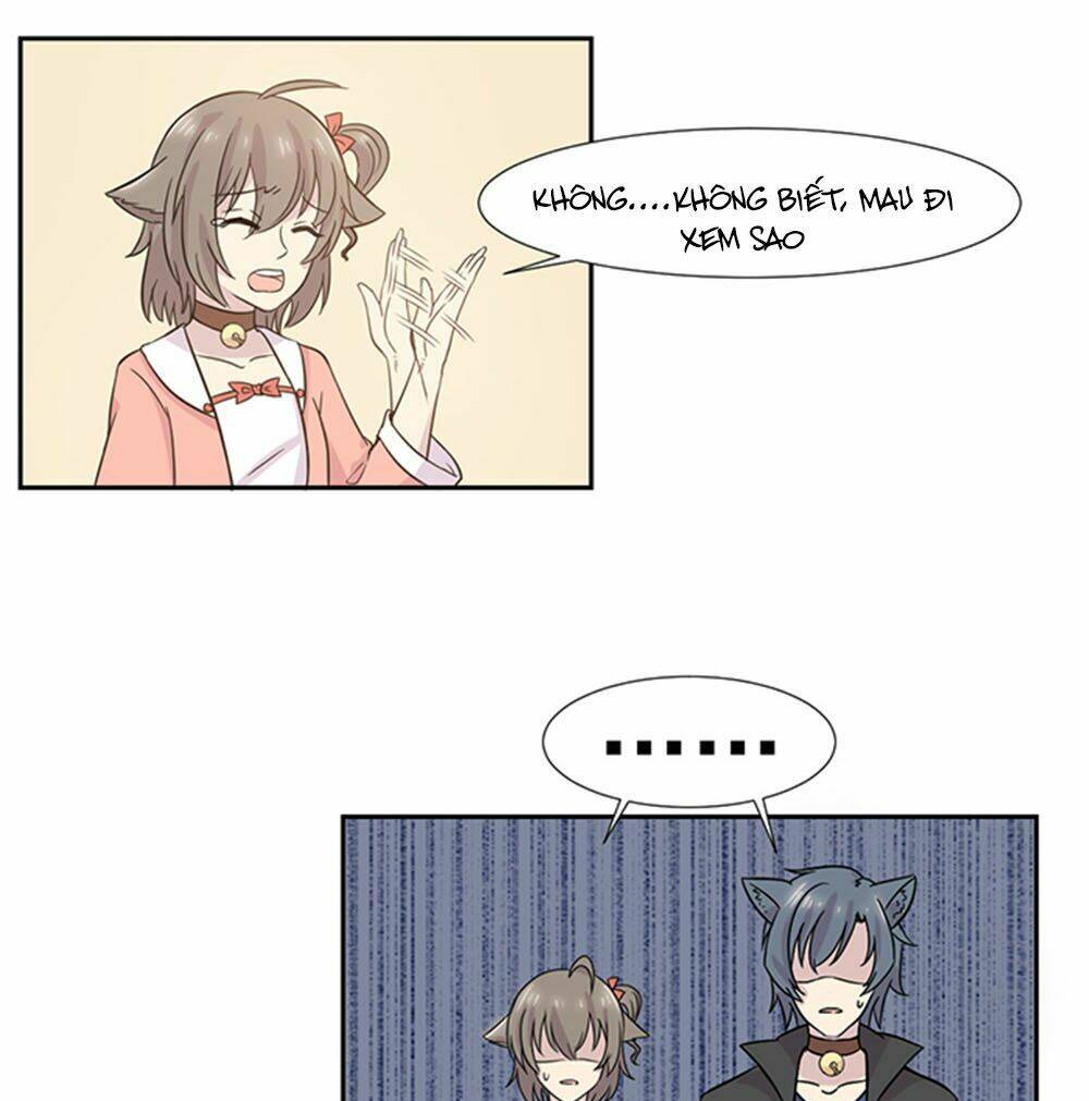 hai chú mèo totem chapter 23 6