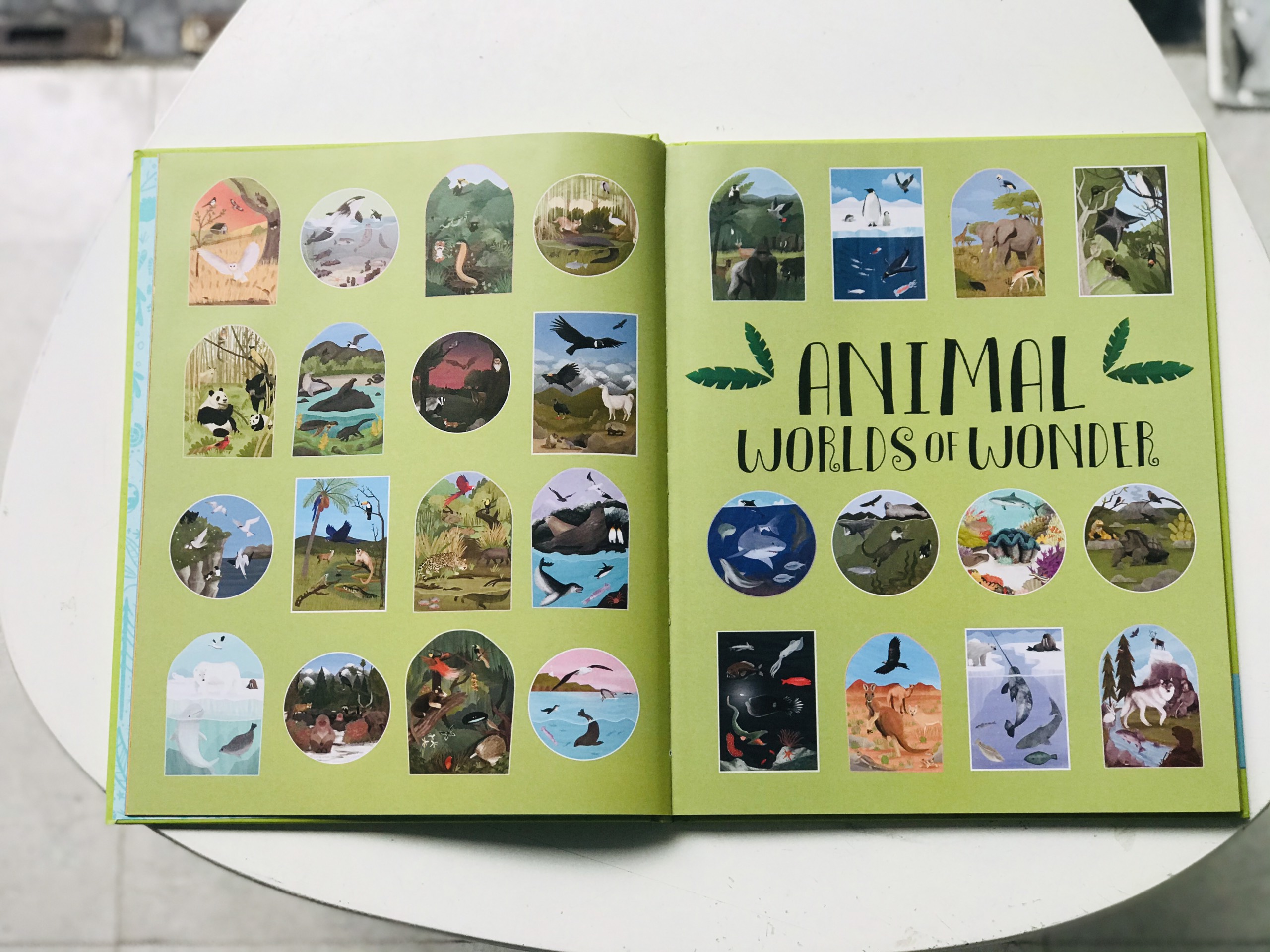 Sách Animal Worlds of Wonder ( Thế Giới Động Vật Diệu Kỳ ) - Cuốn Sách Như Chuyến Đi, Chào Mừng Các Bạn Nhỏ Đến Với Hành Trình Thăm Các Châu Lục Với Các Loài Động Vật Tuyệt Vời Nhất Trên Thế Giới - Á Châu Books, Bìa Cứng, In Màu