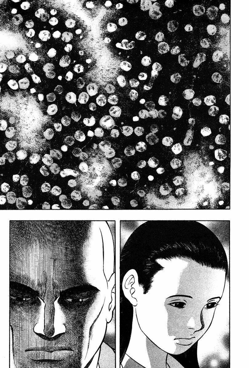 emerging chapter 13 18