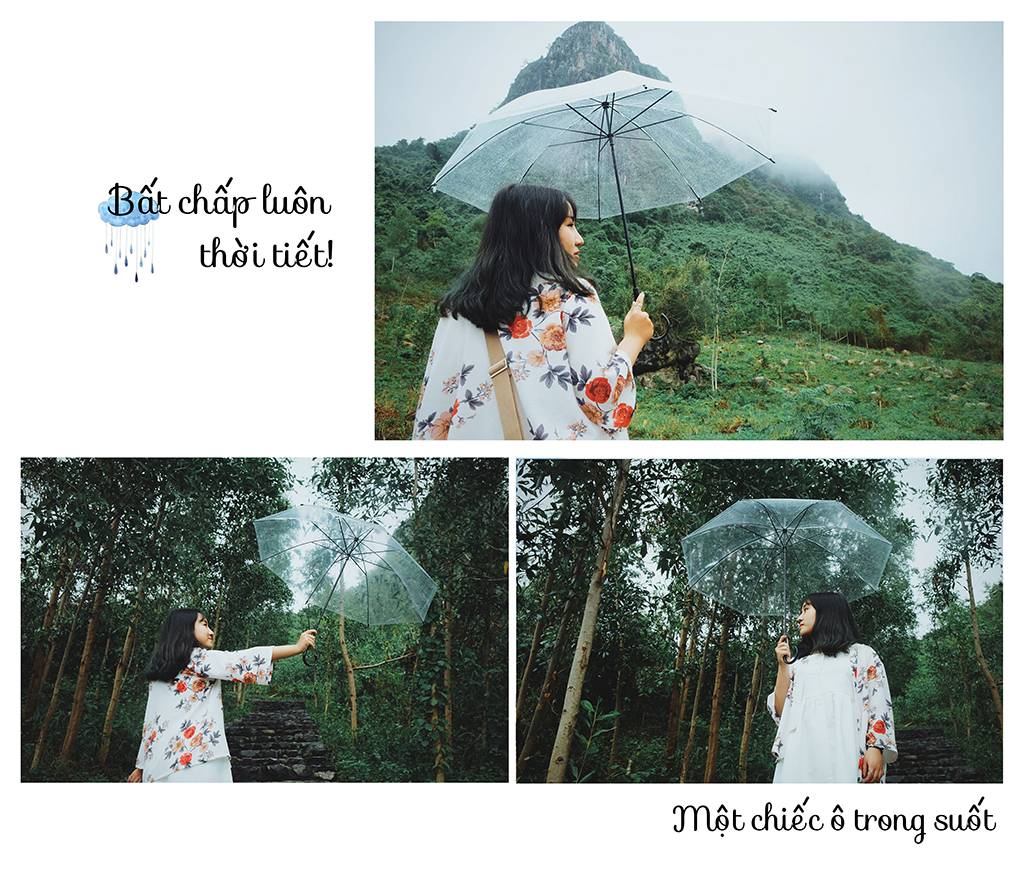 Ô, dù hoa cúc suốt vừa che mưa nắng vừa là phụ kiện chụp ảnh sống ảo cho chị em