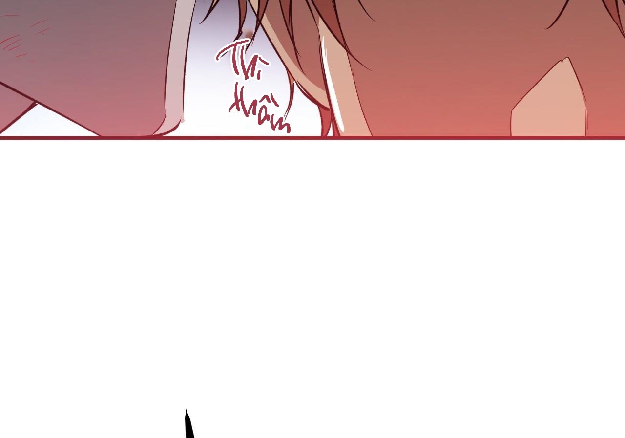 những chú thỏ của hapypy chapter 60 136