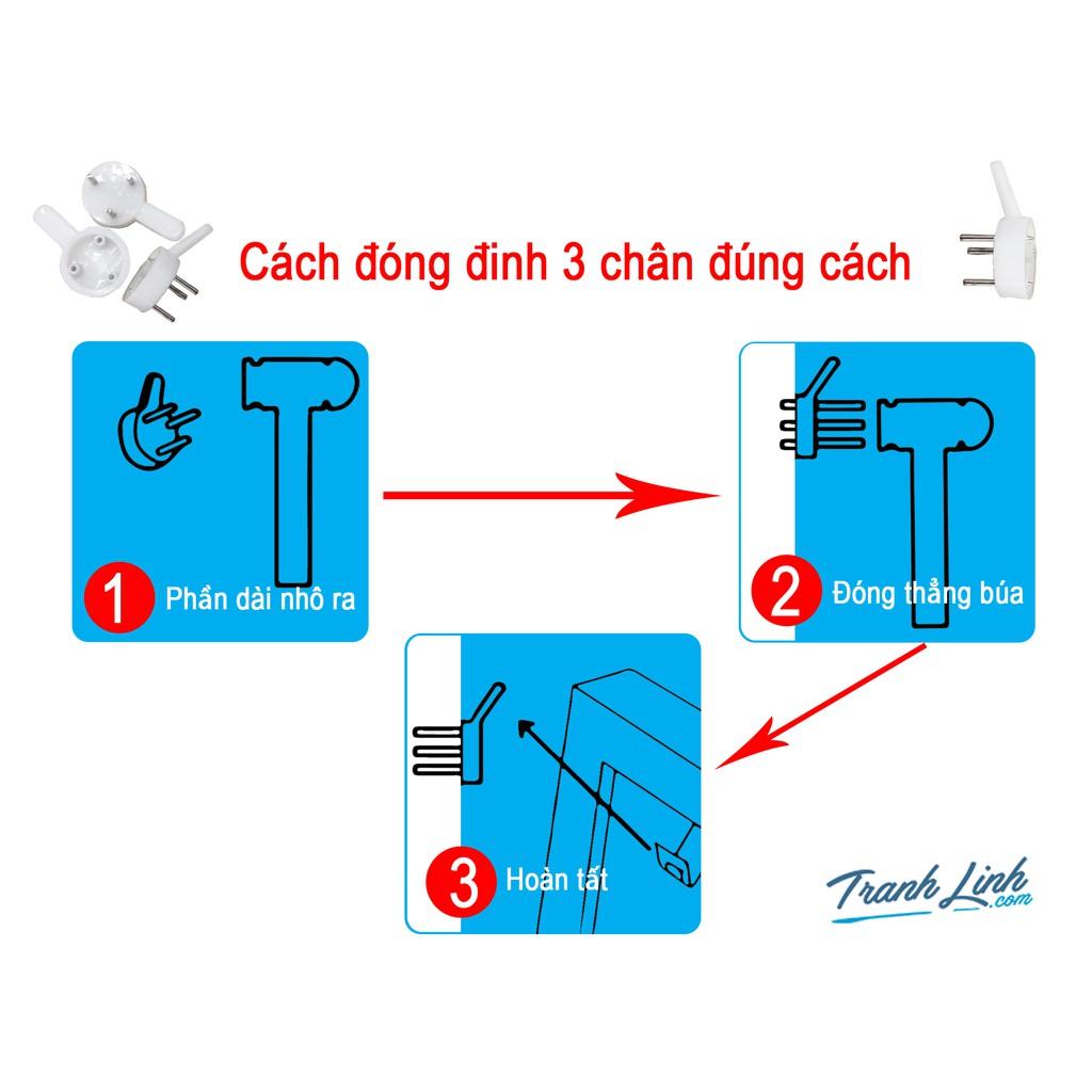 Bộ 3 tranh canvas hoa nghệ thuật