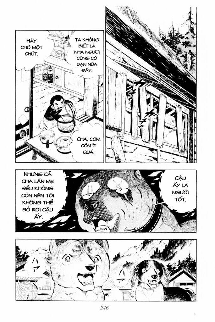 chú chó có nghĩa - ginga nagareboshi gin chapter 30.1 4