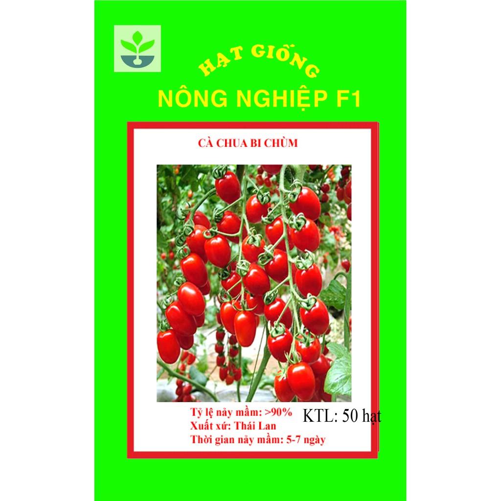 Gói 30 hạt giống cà chua cherry